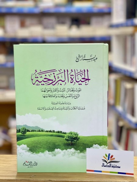 الحياة البرزخية