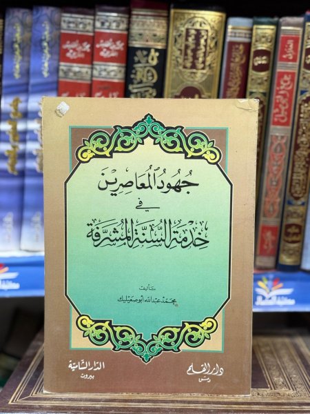 جهود المعاصرين في خدمة السنة