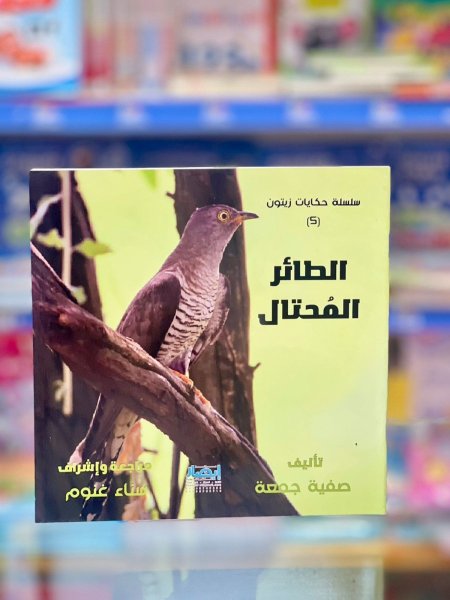 القط الطائر