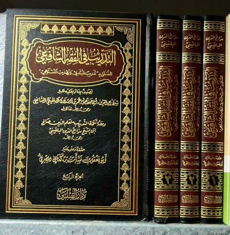 التدريب في الفقه الشافعي