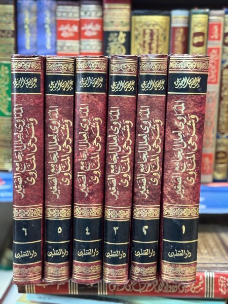 المداوي لعلل الجامع الصغير6/1