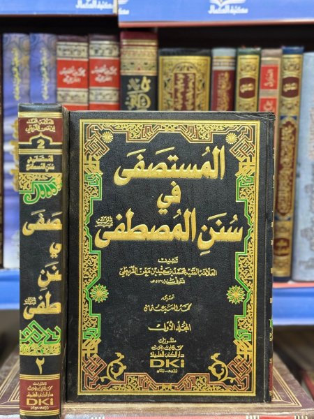 المستصفى في سنن المصطفى صلى الله عليه وسلم 1/2