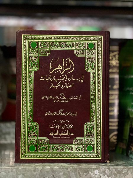 الزاهر في بيان ما يجتنب من الصغائر والكبائر