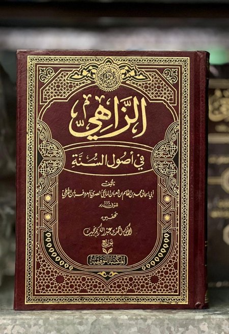 الزاهي في أصول السنة