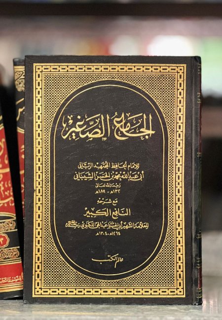 الجامع الصغير مع شرحه النافع الكبير
