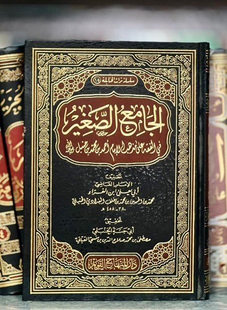 الجامع الصغير في الفقه على مذهب الامام احمد بن حنبل