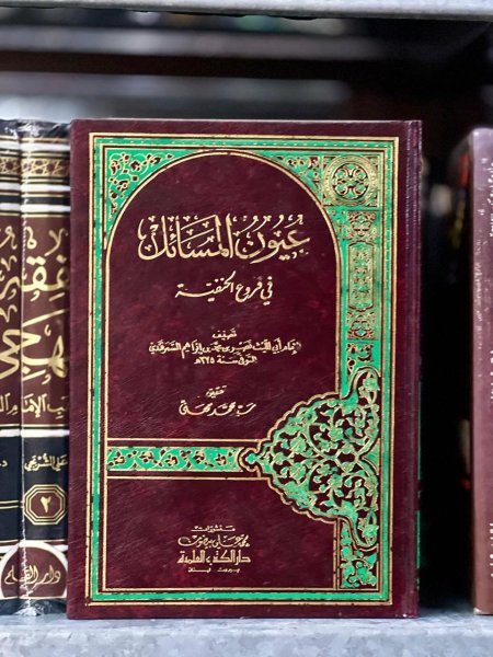 عيون المسائل في فروع الحنفية