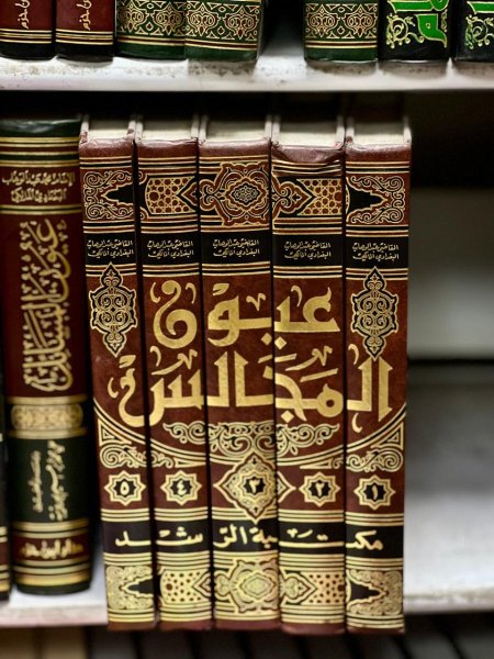 عيون المجالس