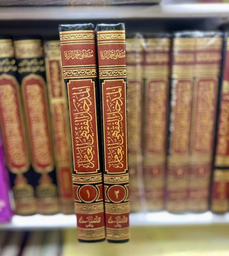 لمدخل الفقهي العام