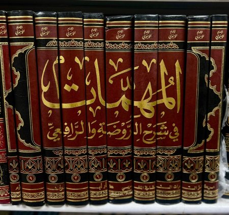 المهمات في شرح الروضة و الرافعي10/1