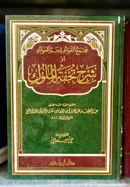 مجمع الفوائد لجم العوائد أو شرح تحفة الملوك