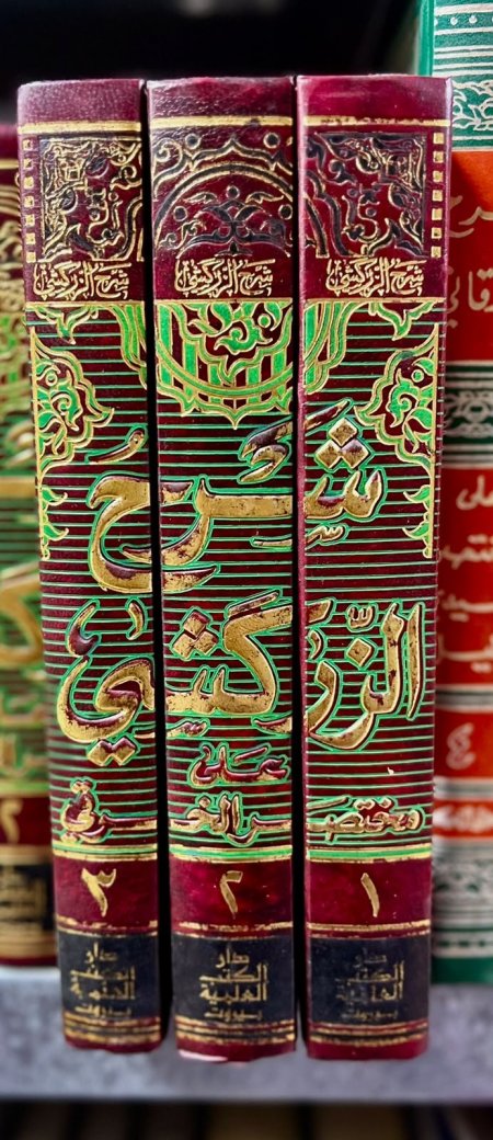 شرح الزركشي على الخرقي3/1
