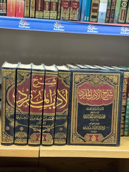 شرح الادب المفرد 1\6